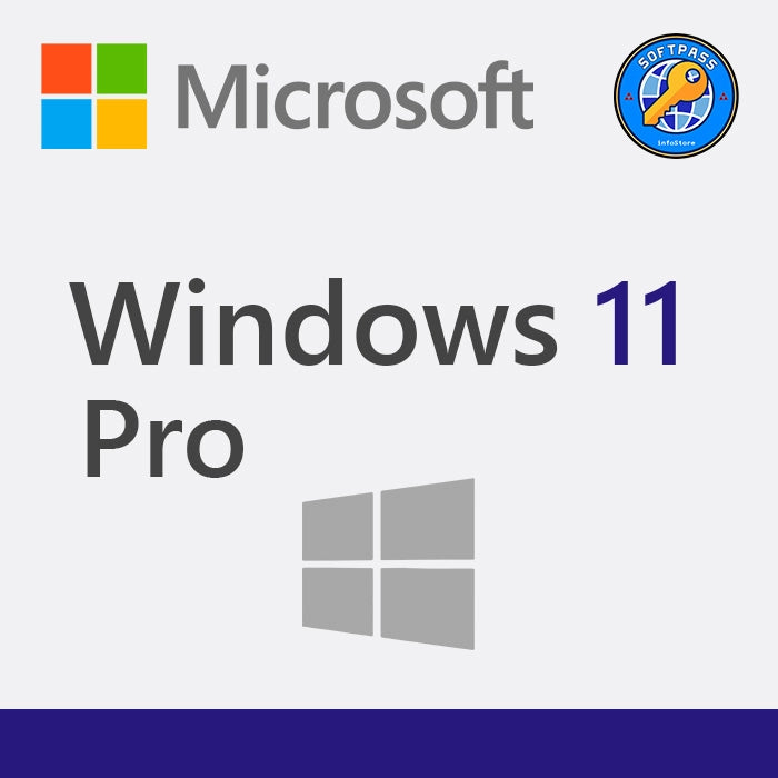 Windows 11 Professional 5